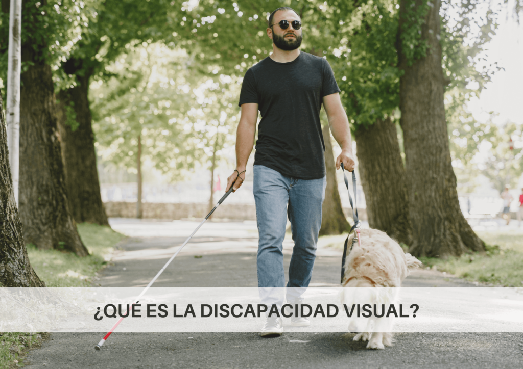 ¿Qué Es La Discapacidad Visual, La Baja Visión Y Ceguera Legal?