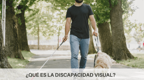 Minuja  Baja visión y discapacidad visual